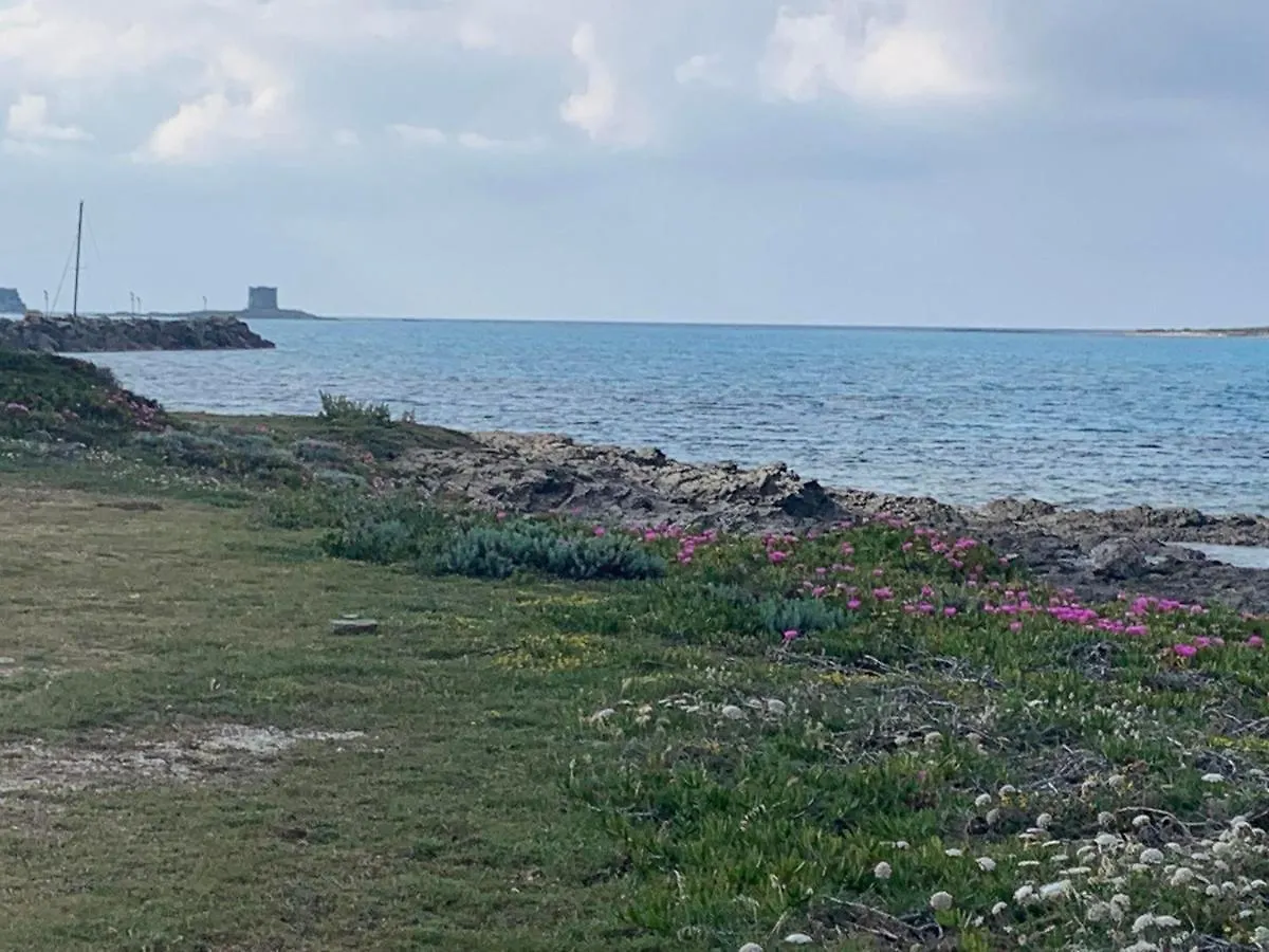 Villino Le Ortensie Stintino Italia
