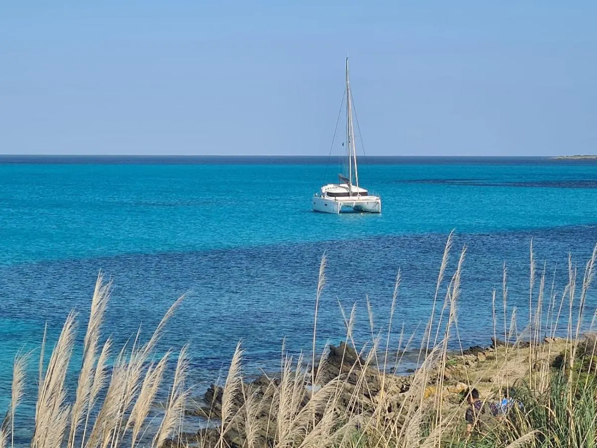 Villino Le Ortensie ستينتينو 0*,  إيطاليا
