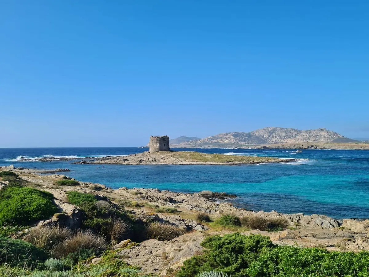 Villino Le Ortensie ستينتينو